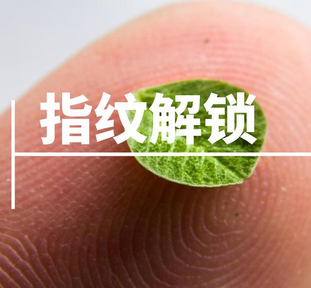 手机指纹锁比数字密码锁更安全吗？(图2)