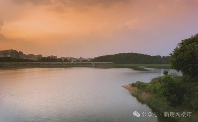 深圳龙岸君粼2024官方网站-龙岸君粼百度百科(欢迎您)深圳新房网(图3)